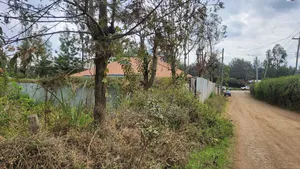 Matasia -Ngong Plots