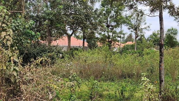 Matasia -Ngong Plots - thumbnail 5