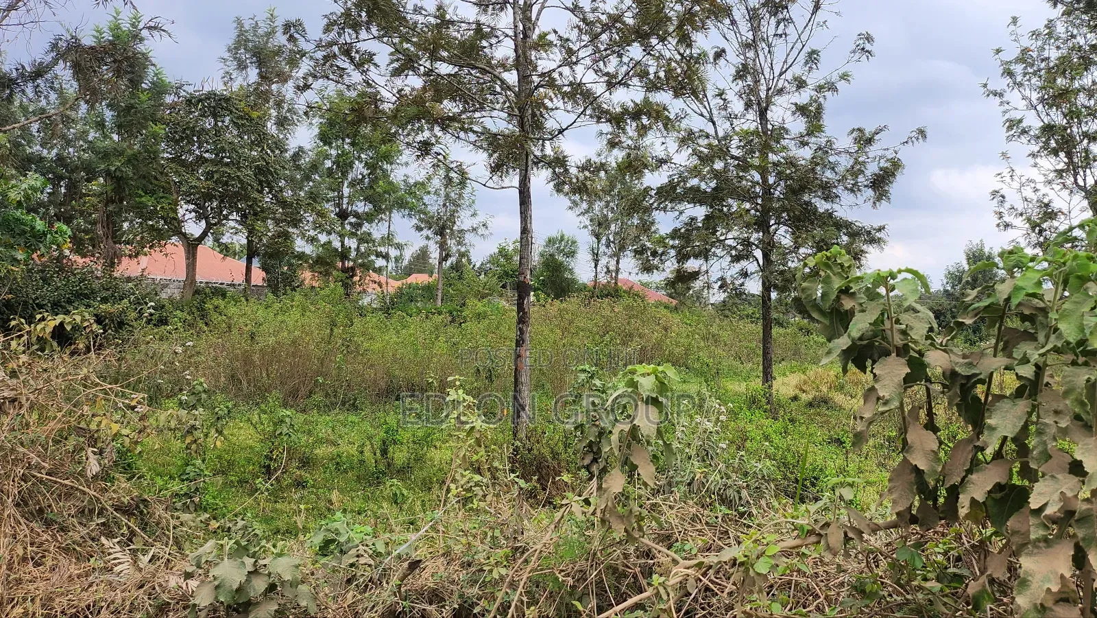 Matasia -Ngong Plots