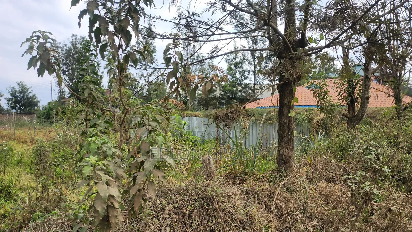 Matasia -Ngong Plots