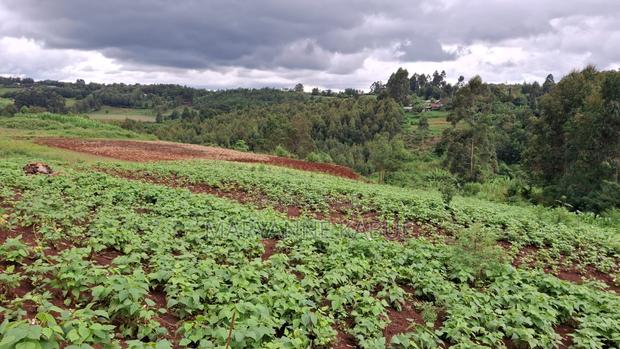 1/8 Acre in Nderi Kikuyu - main view