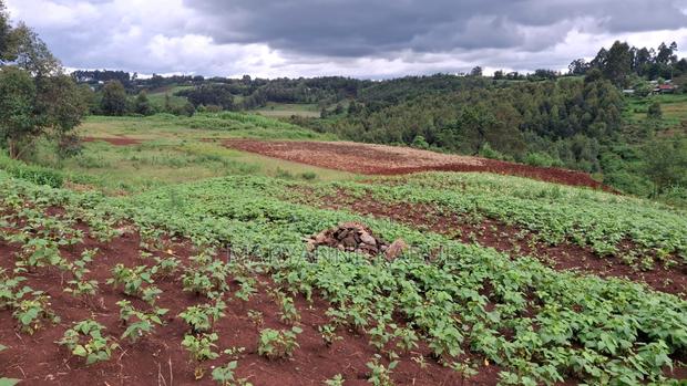 1/8 Acre in Nderi Kikuyu - thumbnail 3