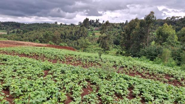 1/8 Acre in Nderi Kikuyu - thumbnail 4