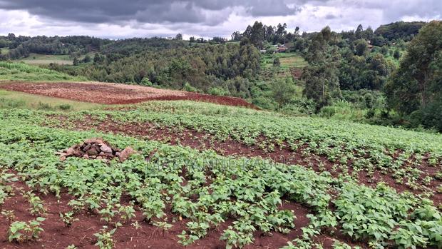 1/8 Acre in Nderi Kikuyu - thumbnail 5