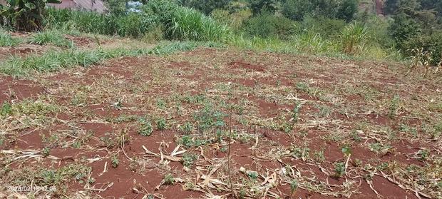 50 X 100 Kihingo Kiambu Town - thumbnail 5