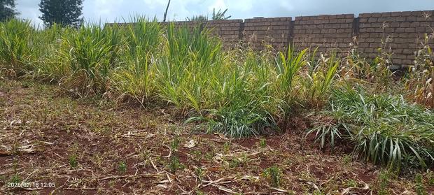 50 X 100 Kihingo Kiambu Town - thumbnail 10
