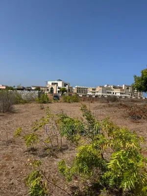 50 by 100 Plot Prime Location in Vipingo for Sale