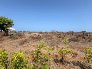 50 by 100 Plot Prime Location in Vipingo for Sale