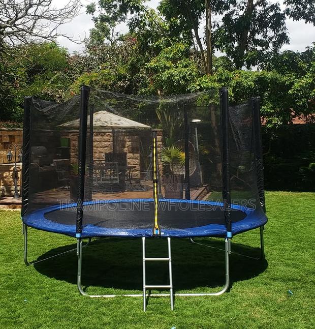 Strong Springs Maximum Bounce Trampolines - main view