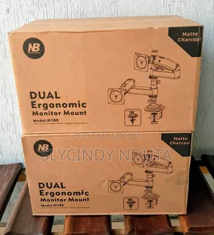 Nb Link Dual Ergonomic Monitor Arm