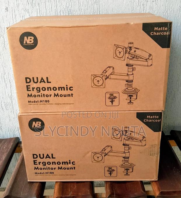 Nb Link Dual Ergonomic Monitor Arm