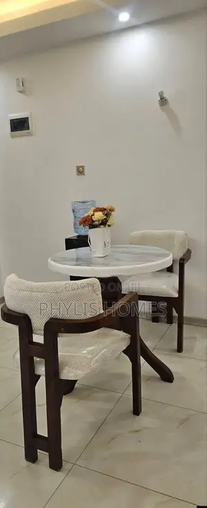 Brand New Furnished Luxury One Bedroom in South B