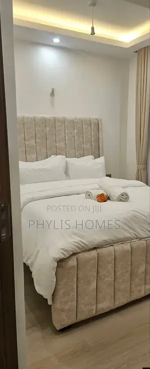 Brand New Furnished Luxury One Bedroom in South B