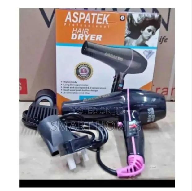 Aspatek Blow Dryer - main view
