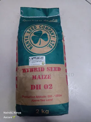 Dh02 Hybrid Maize Seeds 2kgs