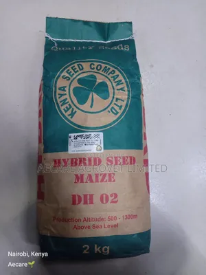 Dh02 Hybrid Maize Seeds 2kgs