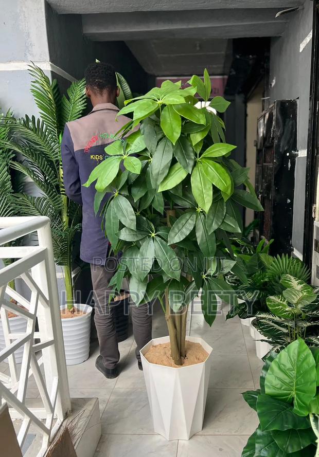 *Artificial Mango Plant With Decorative Plastic Vase Pebbles - main view