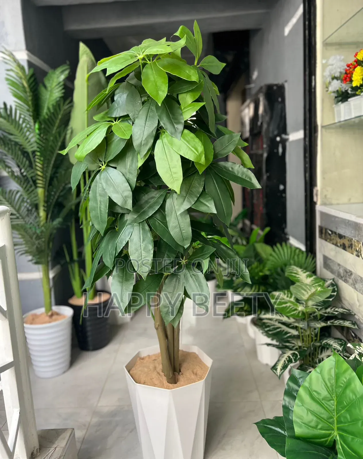 *Artificial Mango Plant With Decorative Plastic Vase Pebbles