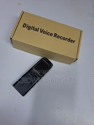Mini Digital Audio Recorder With Usb Playback Function