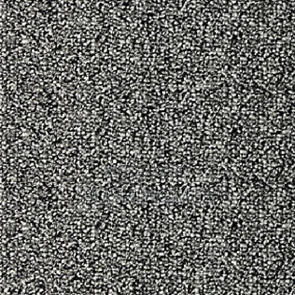 Anchored Delta Wall to Wall Carpets
