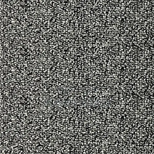 Anchored Delta Wall to Wall Carpets