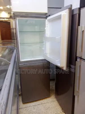 Double Door Bottom Freezer