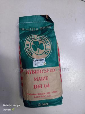 Maize Seeds Dh04 Hybrid Seeds 2kgs - thumbnail 2
