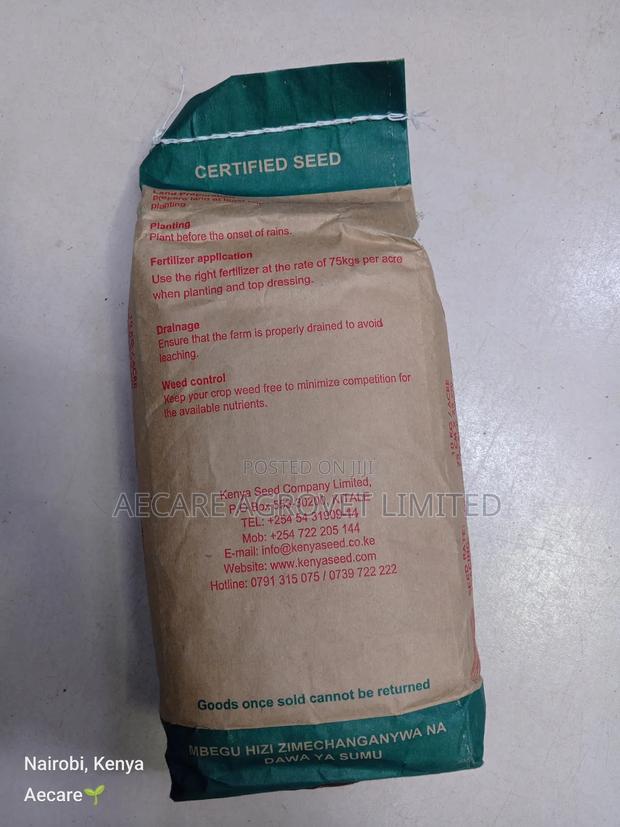 Maize Seeds Dh04 Hybrid Seeds 2kgs - thumbnail 3