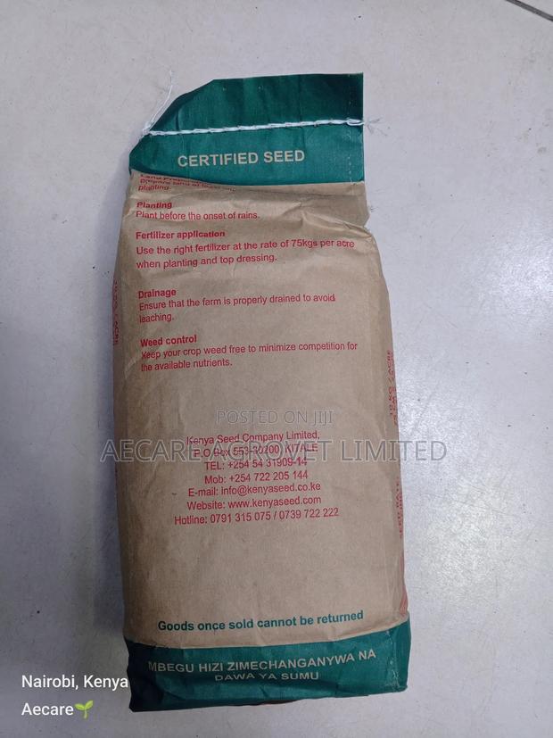 Maize Seeds Dh04 Hybrid Seeds 2kgs - thumbnail 4