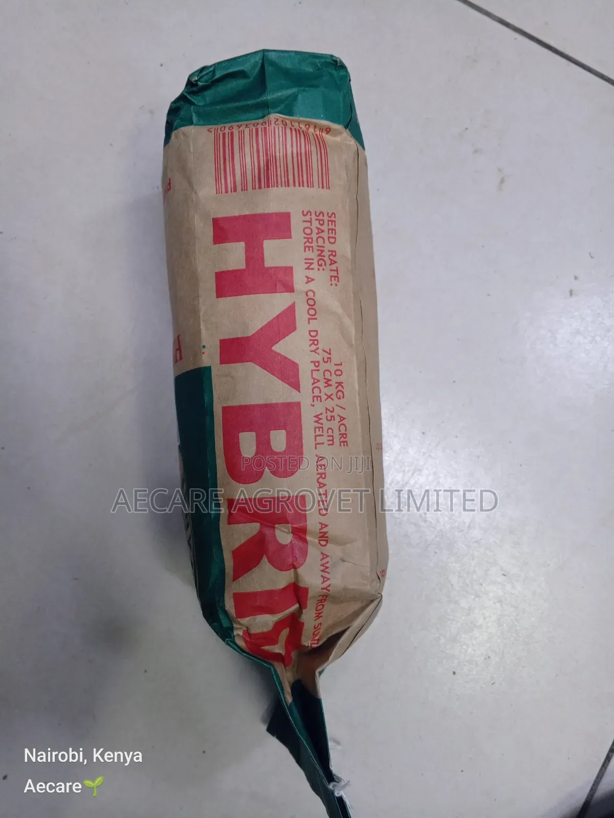 Maize Seeds Dh04 Hybrid Seeds 2kgs