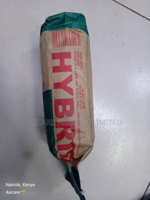 Maize Seeds Dh04 Hybrid Seeds 2kgs