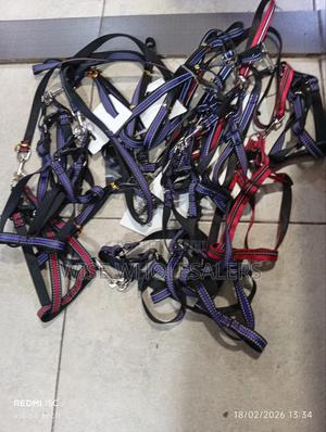 Pet Harnesses and Leash Sets. - main view