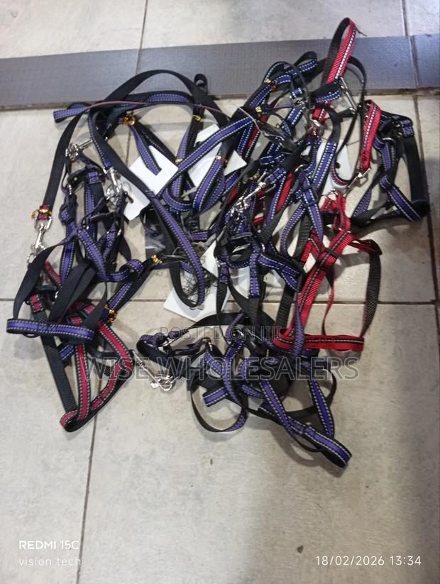 Pet Harnesses and Leash Sets. √°°