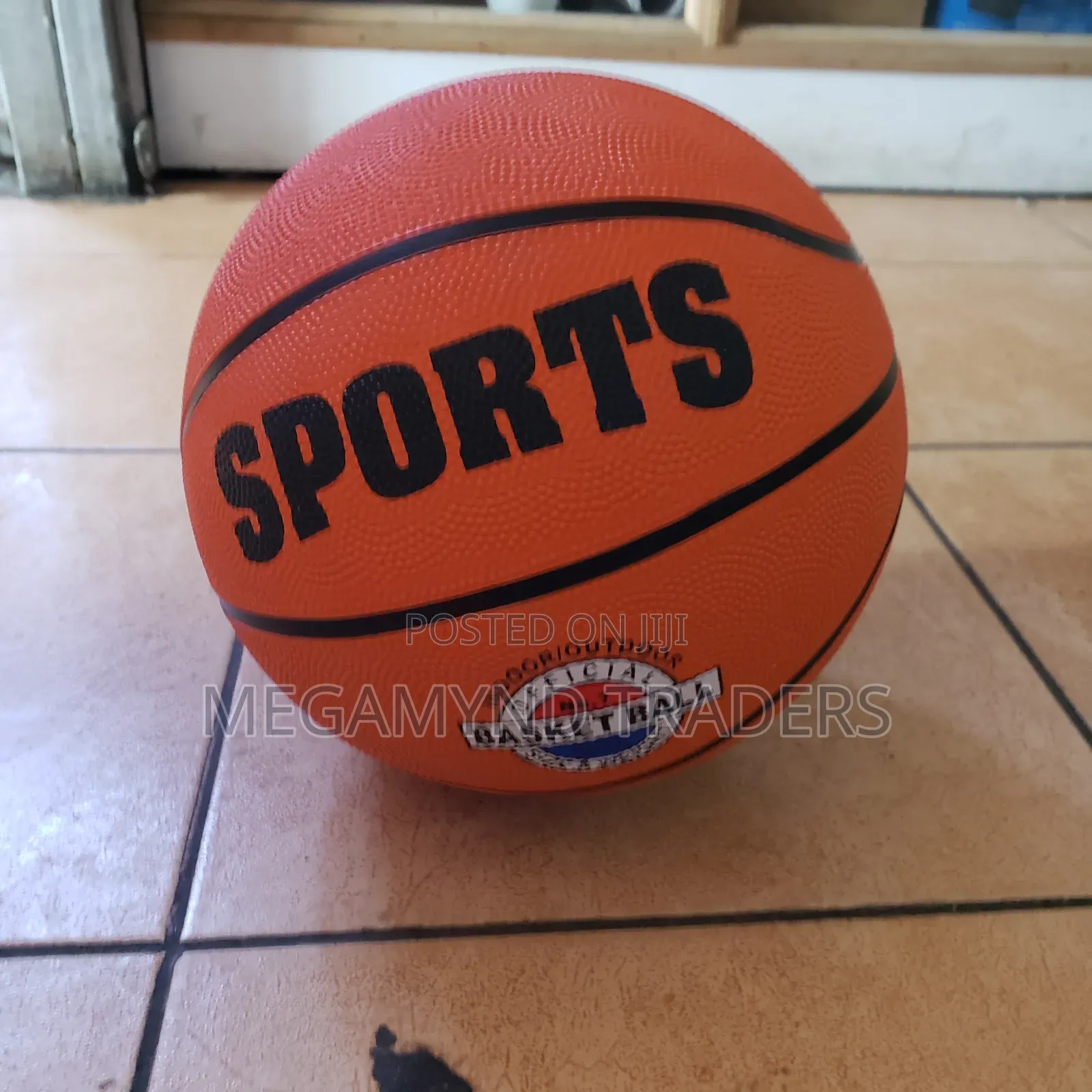 Basketball / Indoor and Outdoor Basketball