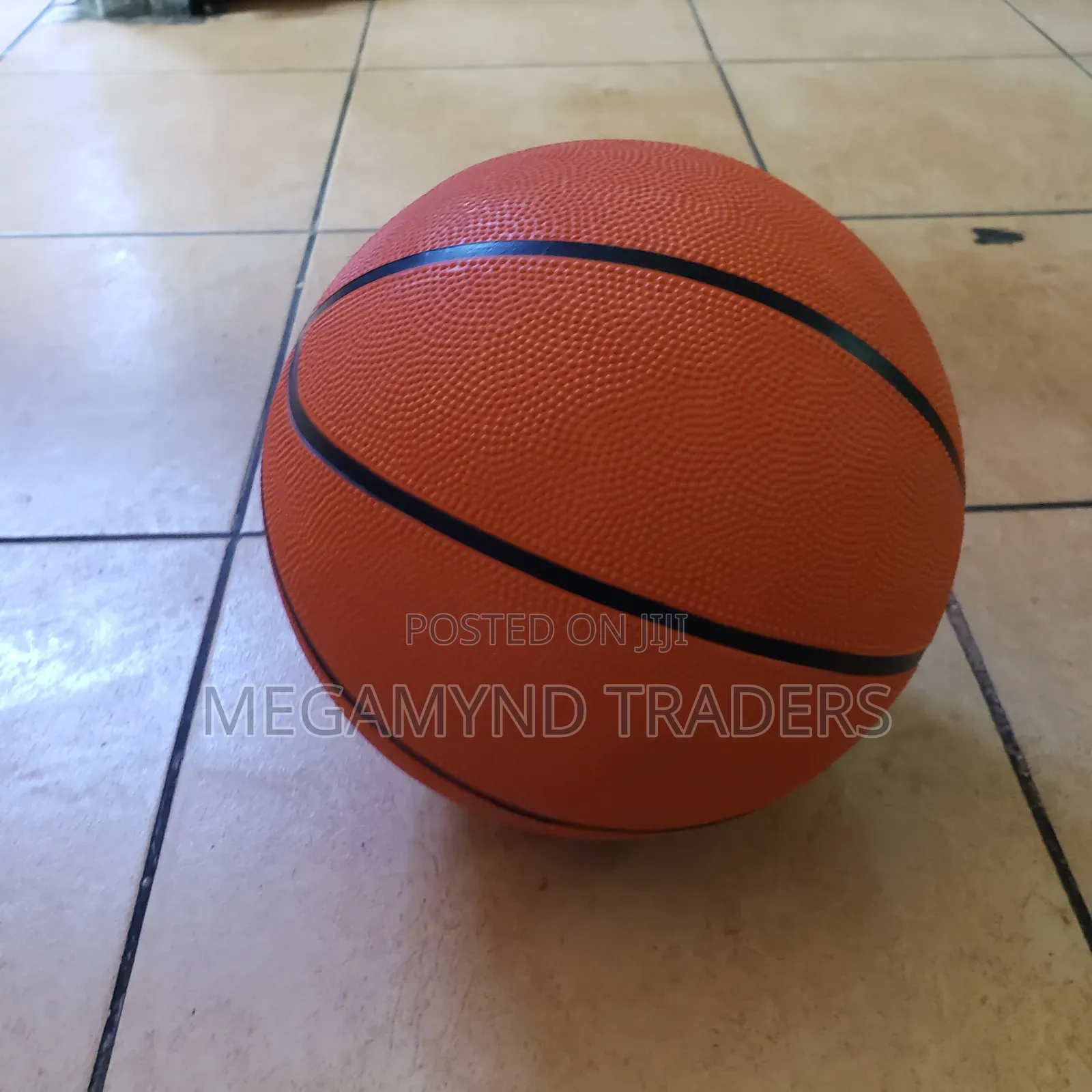 Basketball / Indoor and Outdoor Basketball