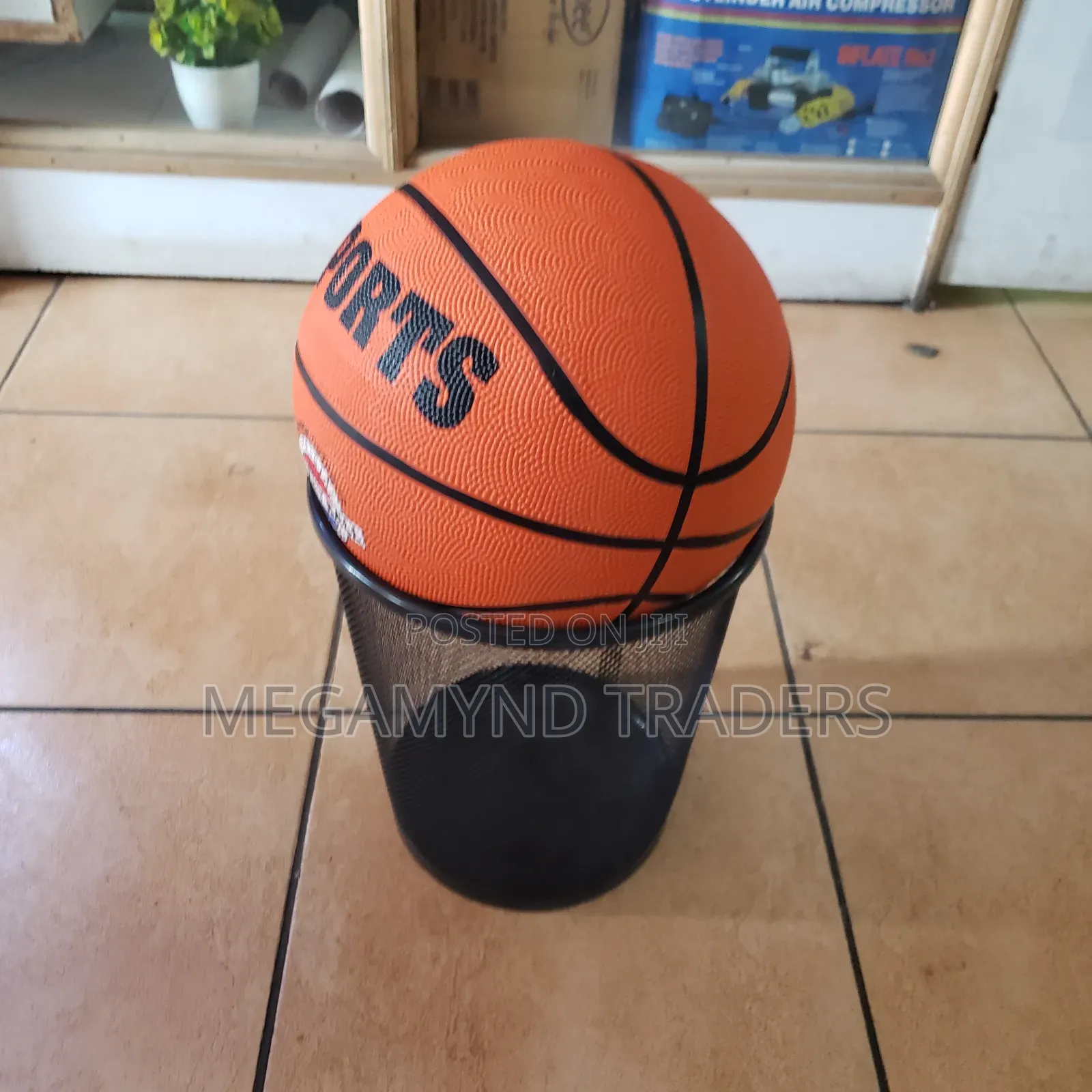 Basketball / Indoor and Outdoor Basketball