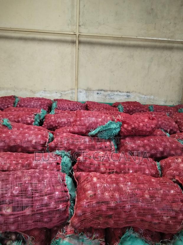 Quality Red Onions on Sale