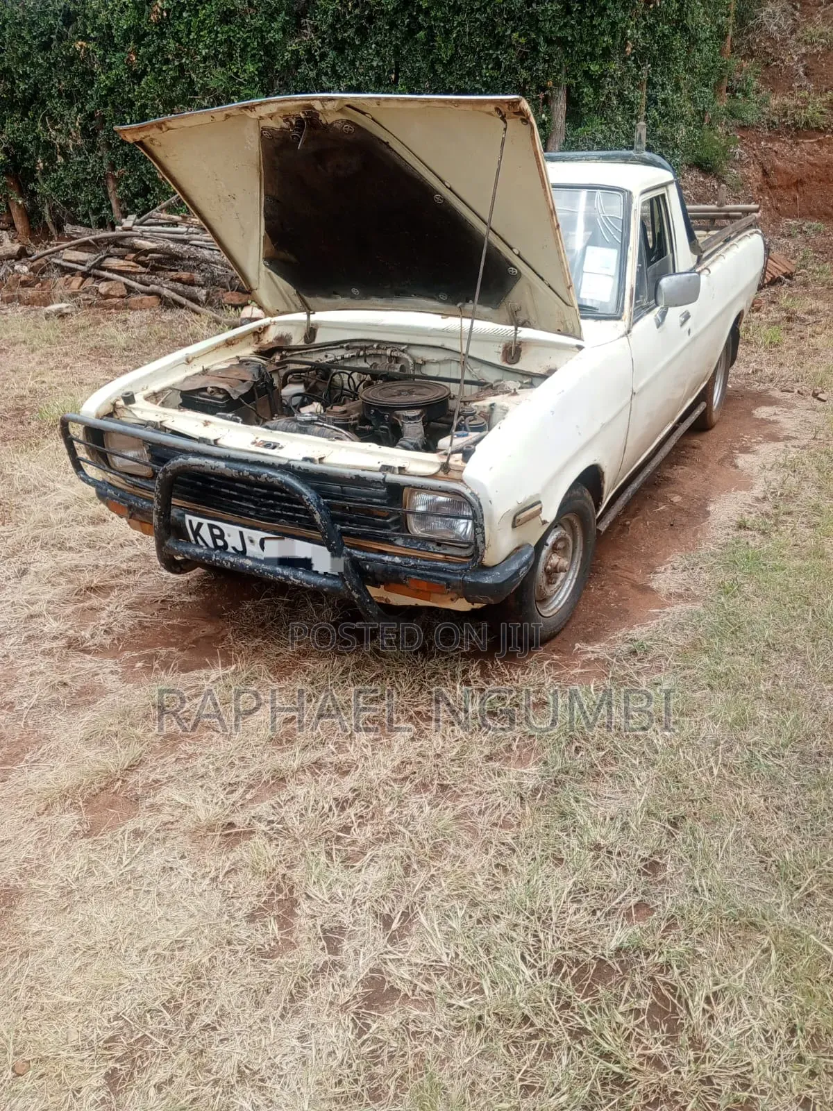 Nissan Pick-Up 1992 Beige
