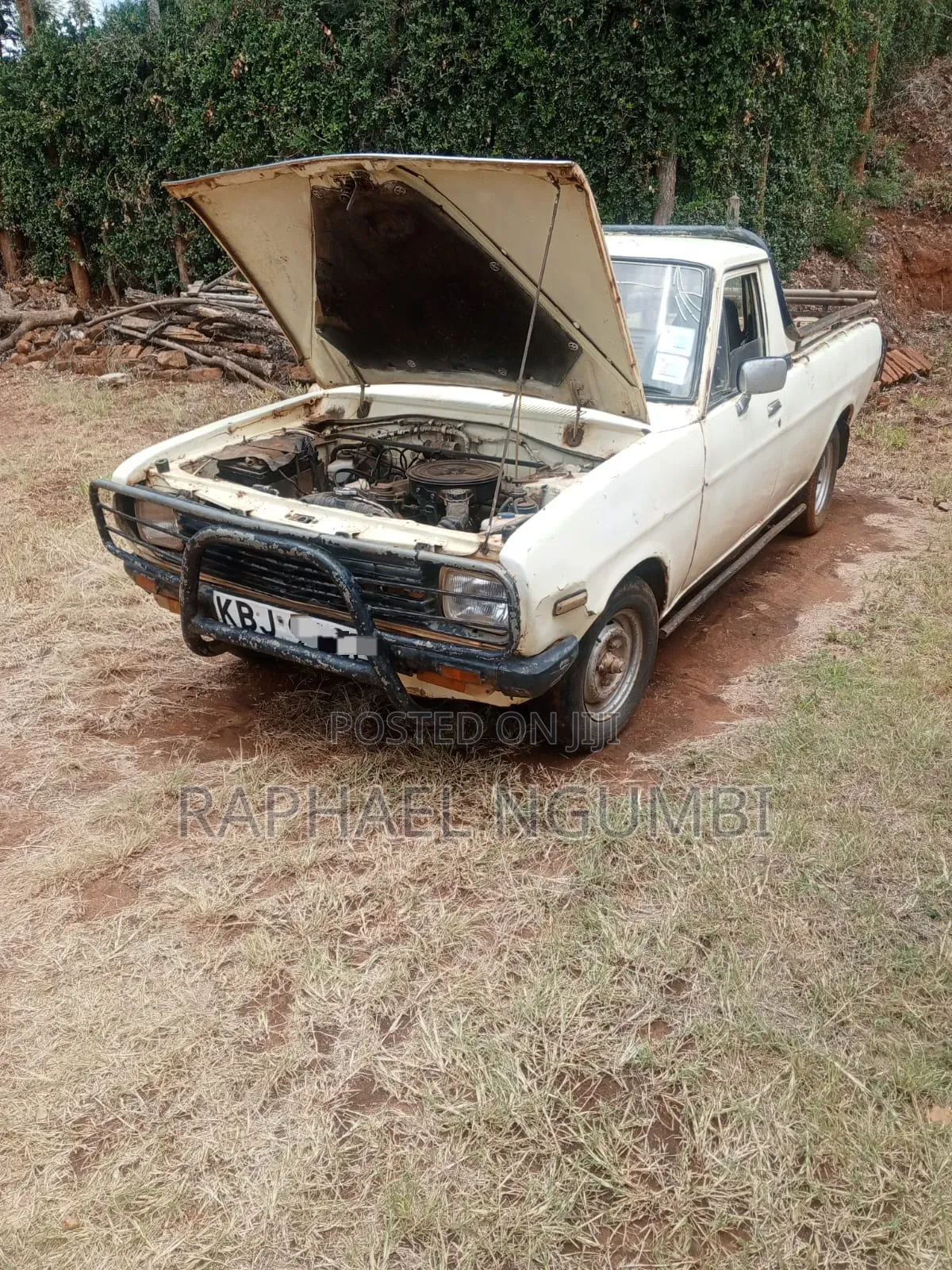 Nissan Pick-Up 1992 Beige