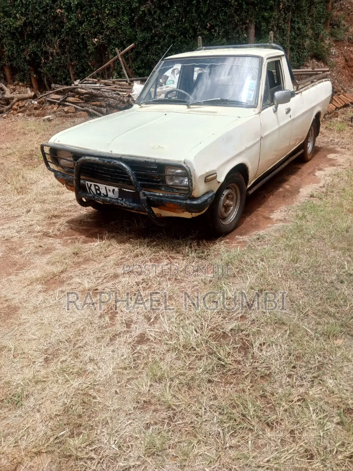 Nissan Pick-Up 1992 Beige