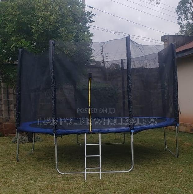 Kids Love This Trampoline - main view