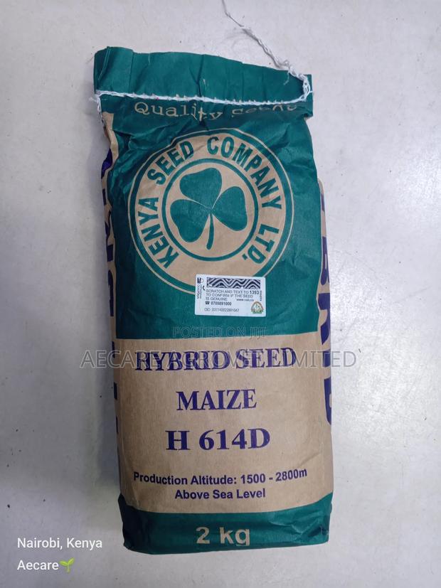 Hybrid H614d Maize Seeds 2kgs