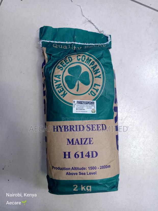 Hybrid H614d Maize Seeds 2kgs - thumbnail 2