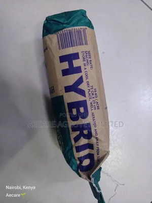 Hybrid H614d Maize Seeds 2kgs