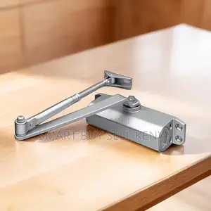 Aluminum Silver Painting Body Door Closer Hydraulic Door Closure Close