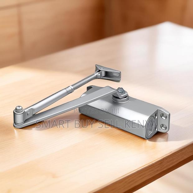 Aluminum Silver Painting Body Door Closer Hydraulic Door Closure Close
