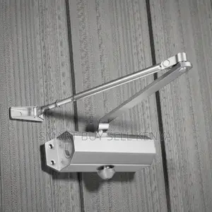 Heavy Duty Adjustable Arms Steel Body Door Closer Hydraulic Door Close