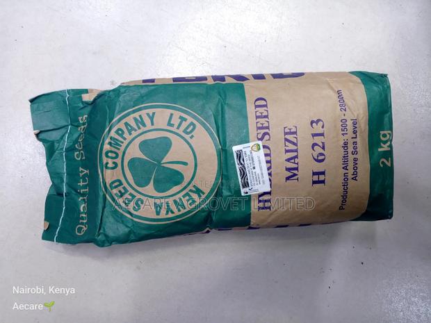 Maize Seeds Hybrid H6213 2kgs