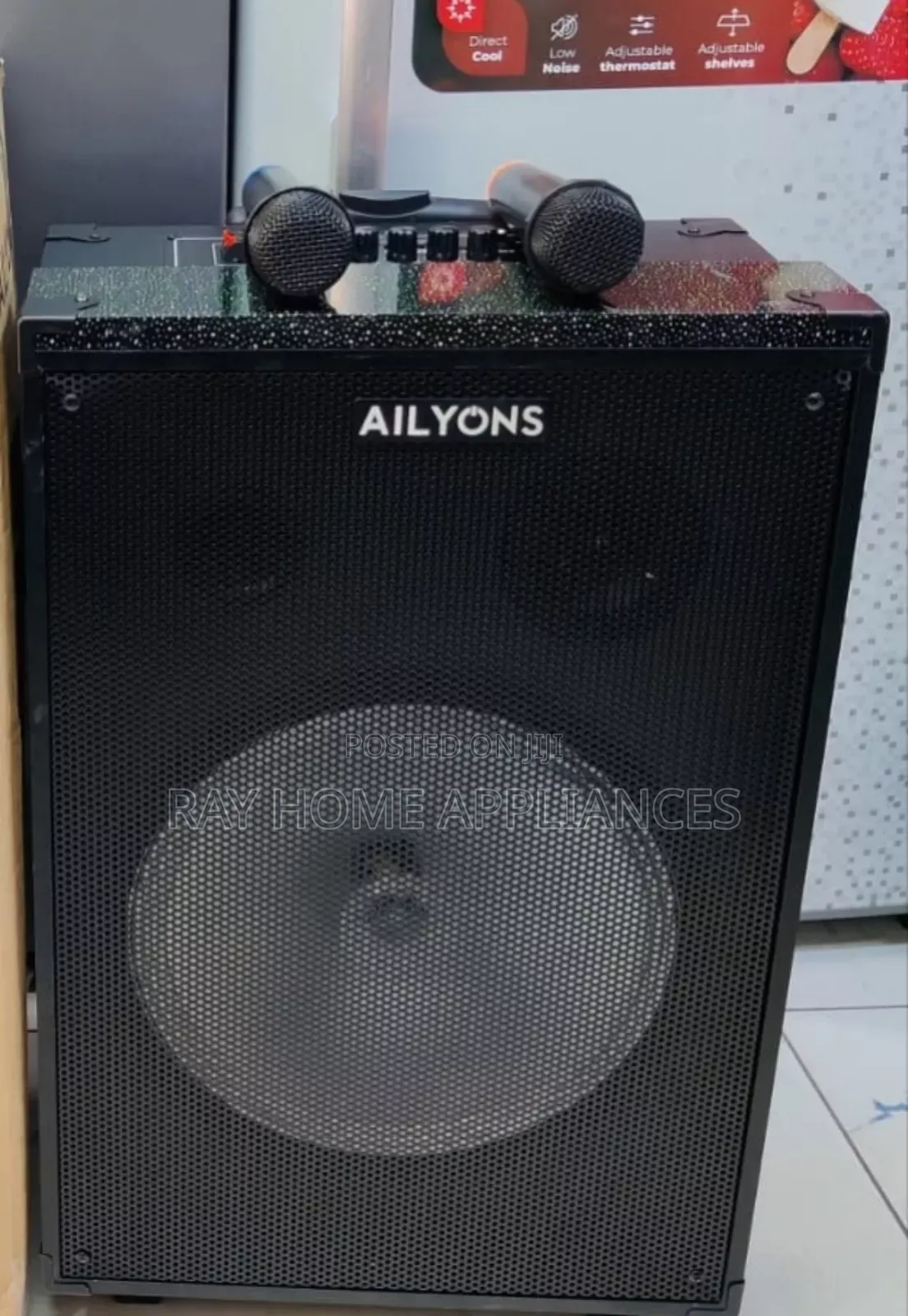 12inches Ailyons Portable Party Speaker