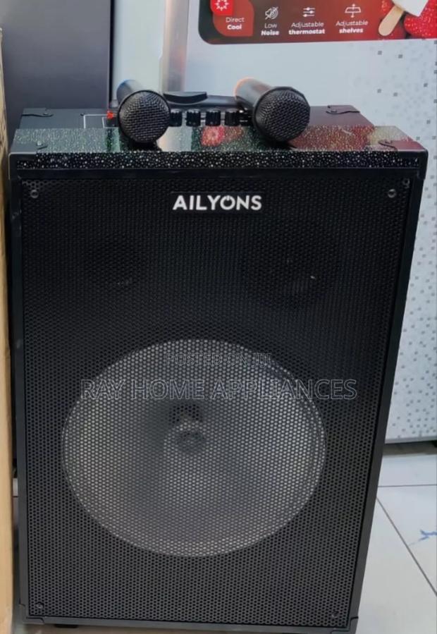 12inches Ailyons Portable Party Speaker